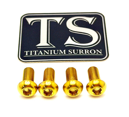 Surron LBX Controller Mount bolts
