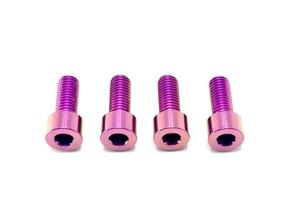 Titanium Bash Guard/ Skid Plate Bolts - Surron LBX and Segway (Set of 4) - REVRides