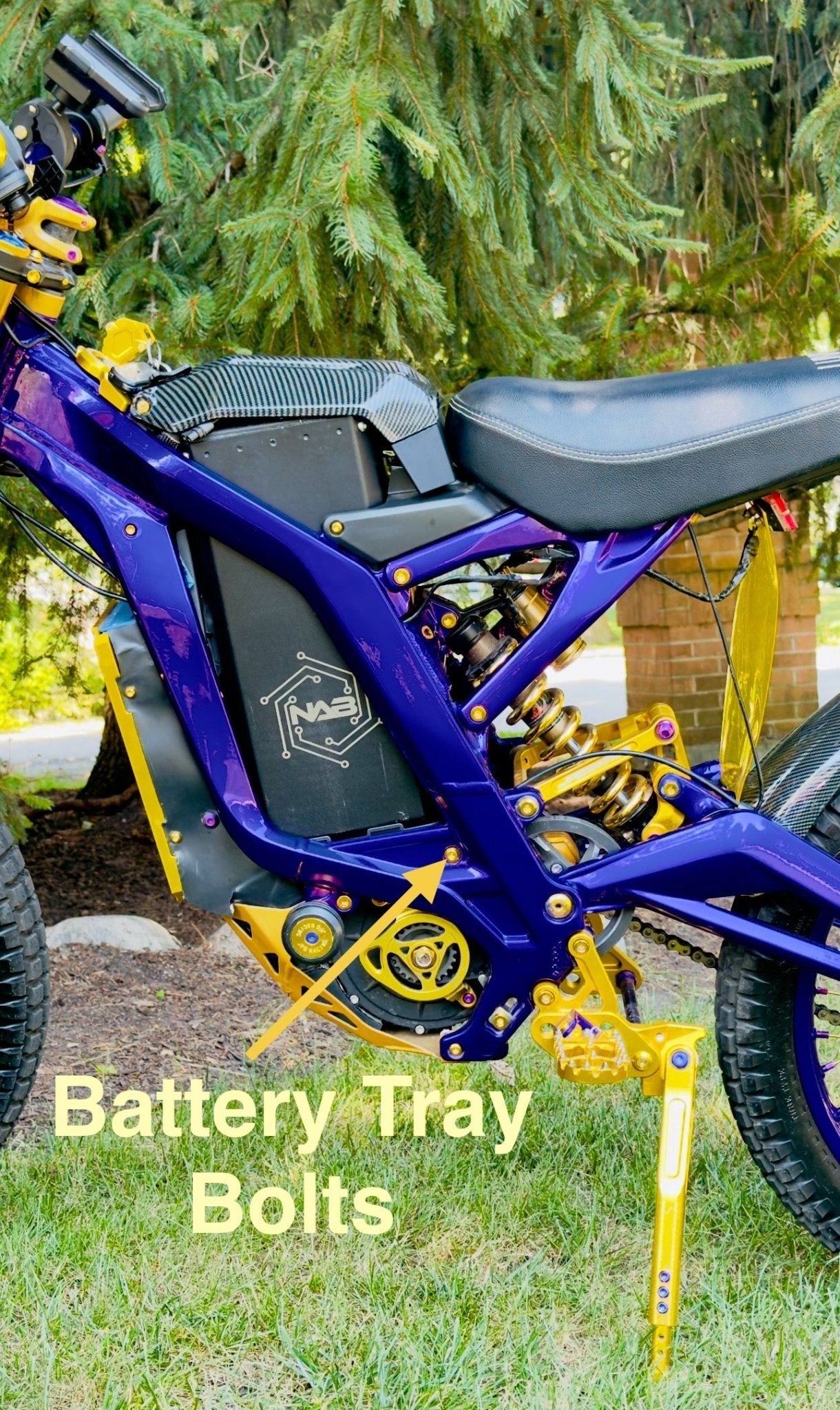 Titanium Battery Tray Bolts | (Set of Two) Surron, Segway, E-Ride Pro