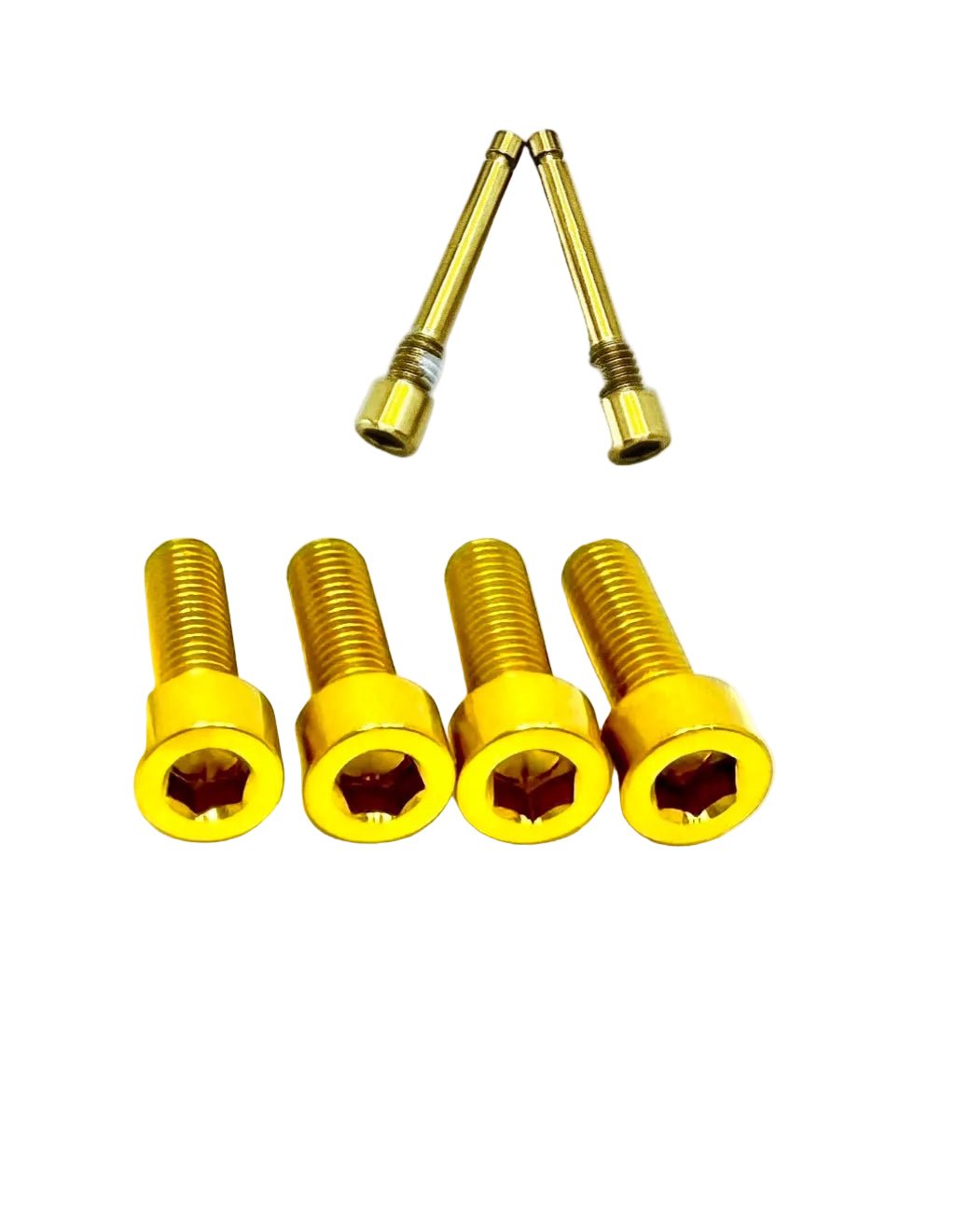 Titanium Caliper Bolt Kit for Surron, Talaria, Segway, 79 Bike