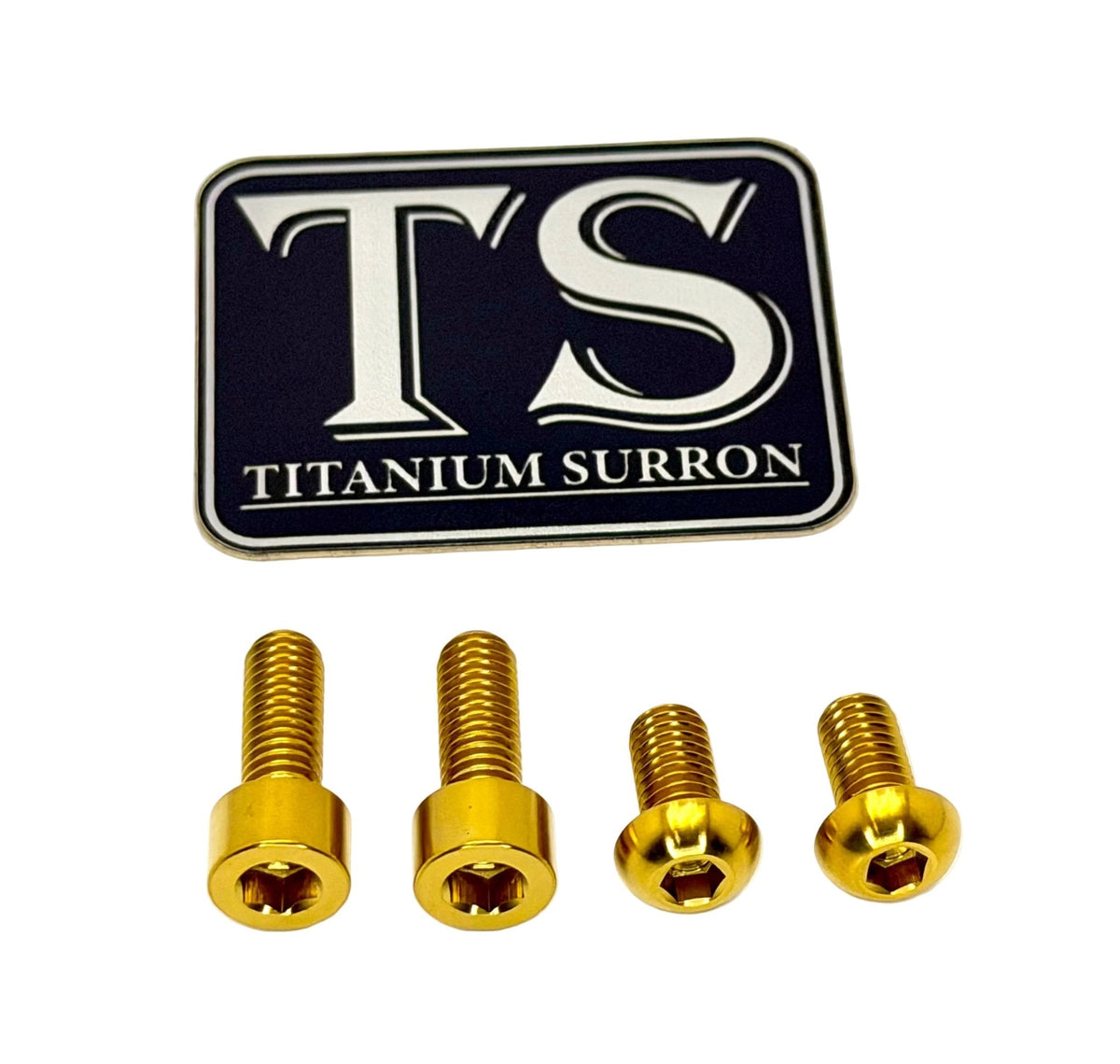 Surron LBX Controller Mount bolts