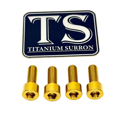 Surron LBX Controller Mount bolts