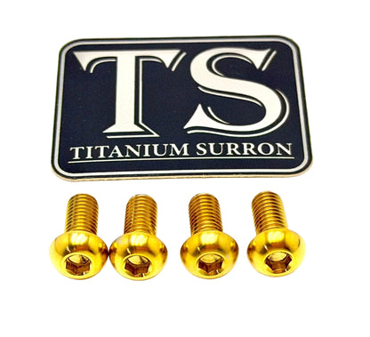 Surron LBX Controller Mount bolts