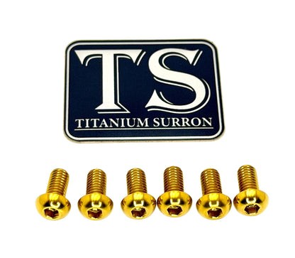 Surron LBX Controller Mount bolts