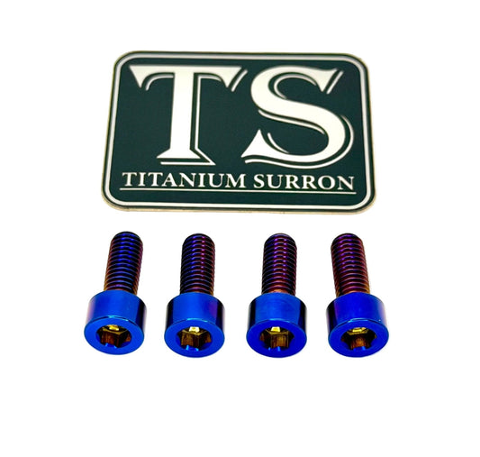 Surron LBX Controller Mount bolts