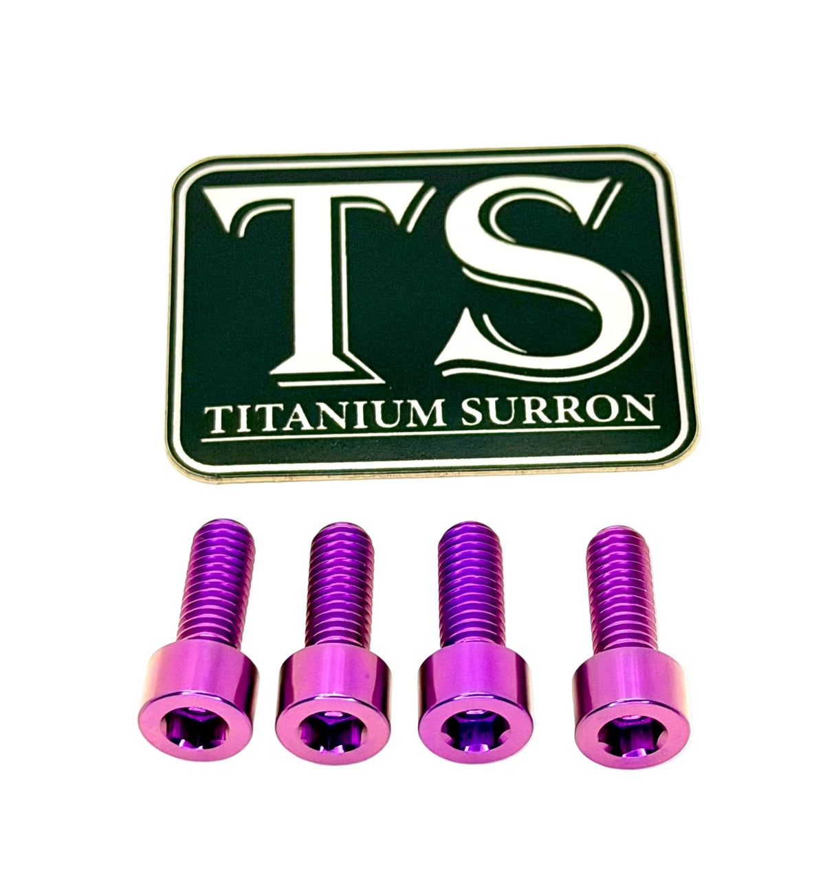 Surron LBX Controller Mount bolts