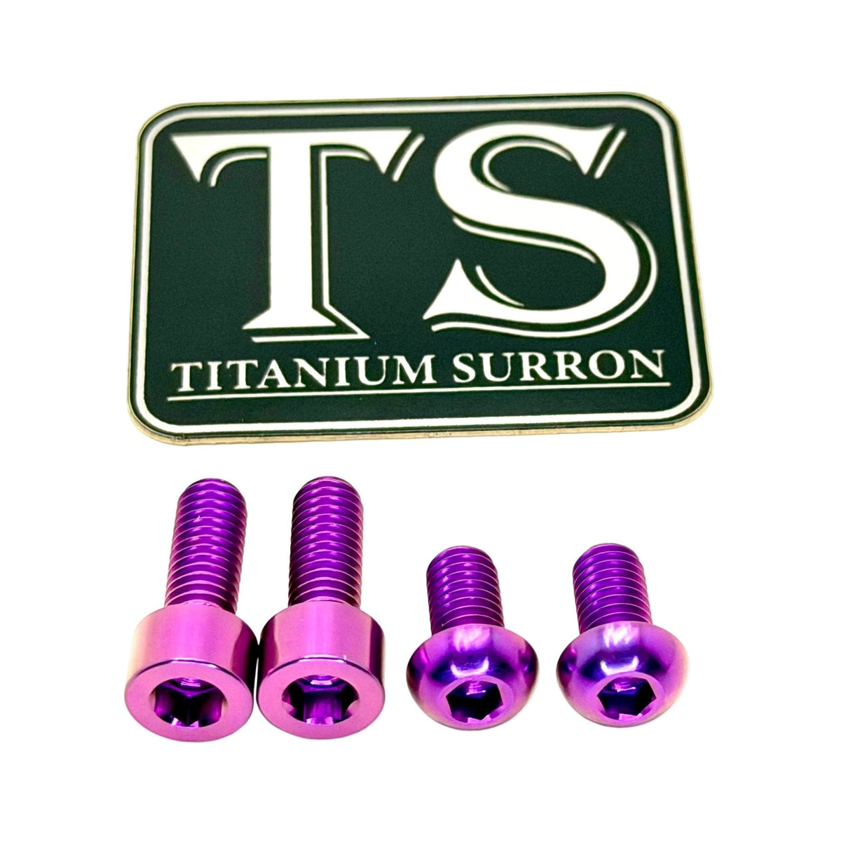Surron LBX Controller Mount bolts