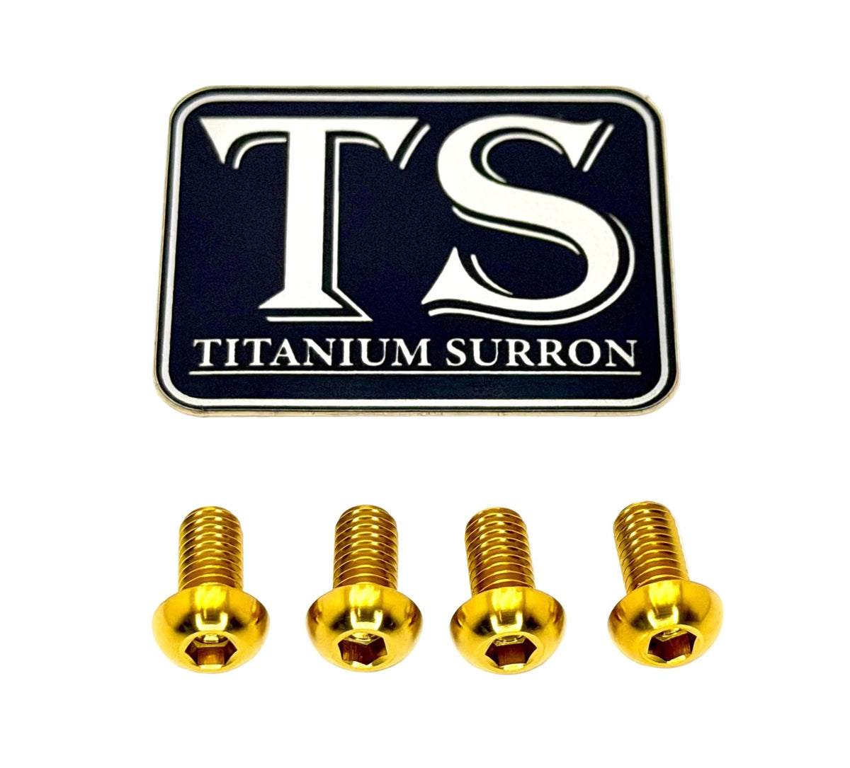 Surron LBX Controller Mount bolts