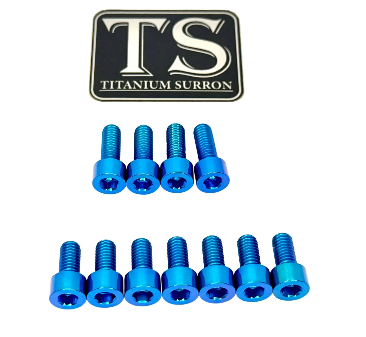 EXT Fork Titanium Bolt 11 Piece kits