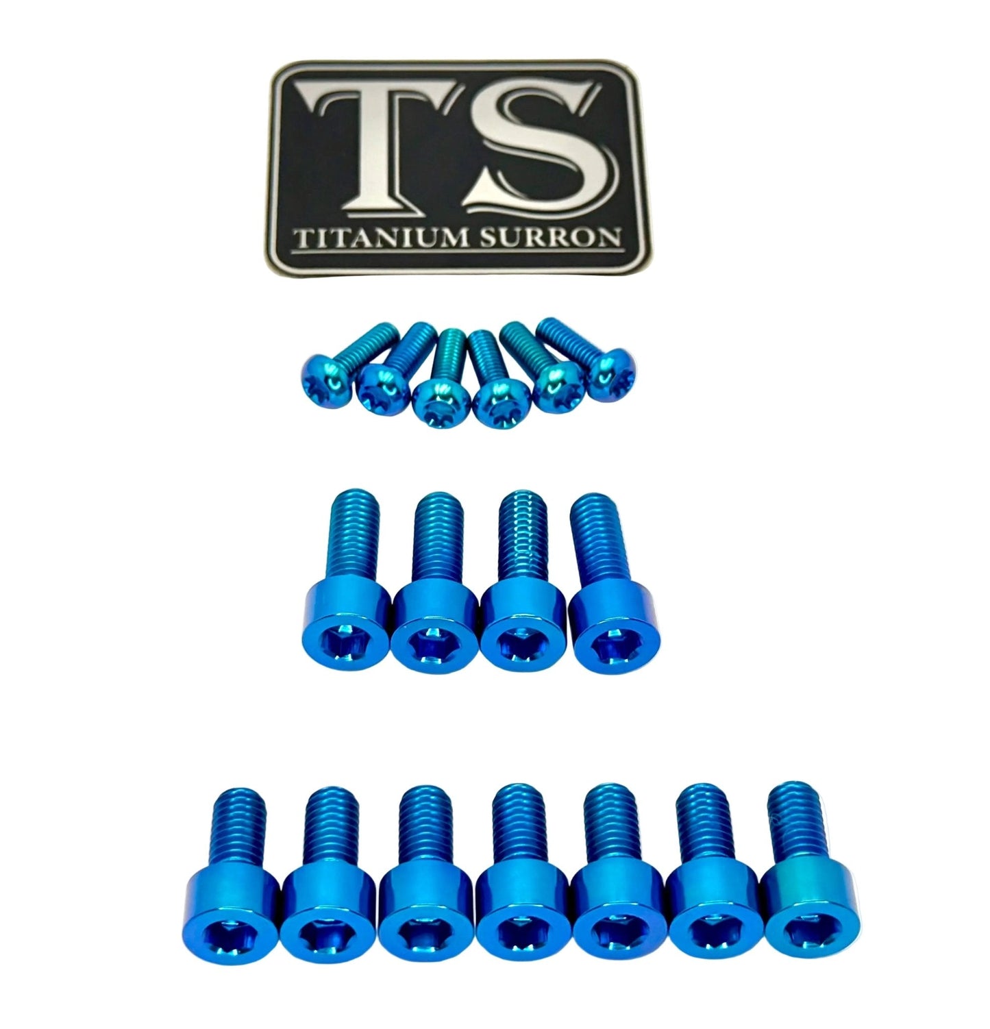 EXT Fork Titanium Bolt 11 Piece kits
