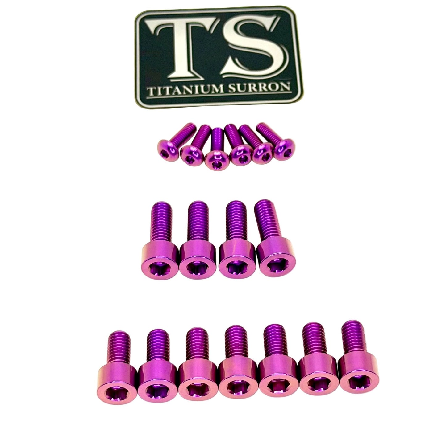 EXT Fork Titanium Bolt 11 Piece kits