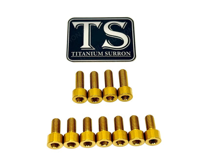 EXT Fork Titanium Bolt 11 Piece kits