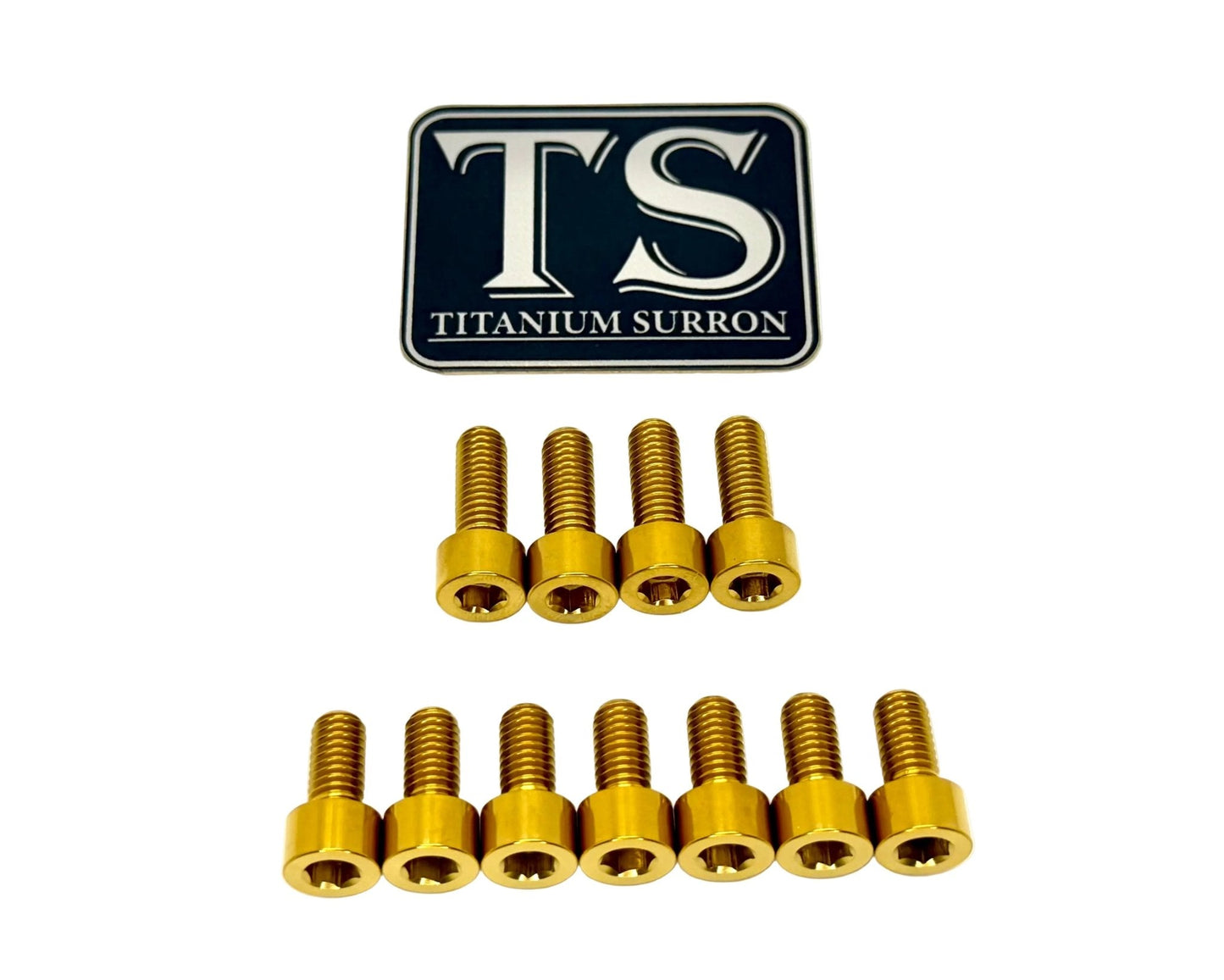 EXT Fork Titanium Bolt 11 Piece kits