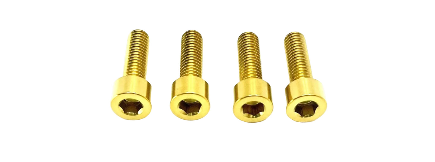 Titanium Brake Handle Mount Bolts | Formula E-Moto Brakes