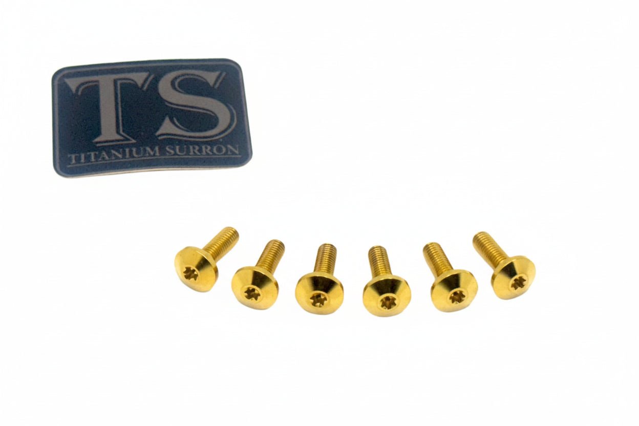 Titanium Front Rotor Screws - Surron, Talaria, Segway, 79 Bike, Rerode, E-Ride