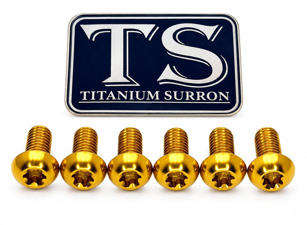 Titanium Front Rotor Screws - Surron, Talaria, Segway, 79 Bike, Rerode, E-Ride