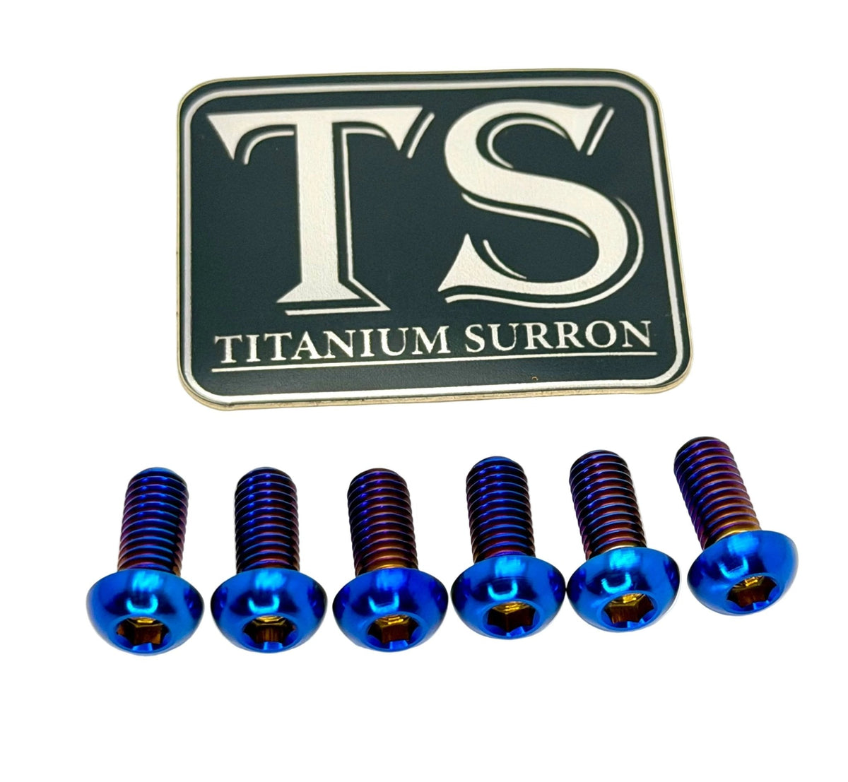 Titanium Front Rotor Screws - Surron, Talaria, Segway, 79 Bike, Rerode, E-Ride
