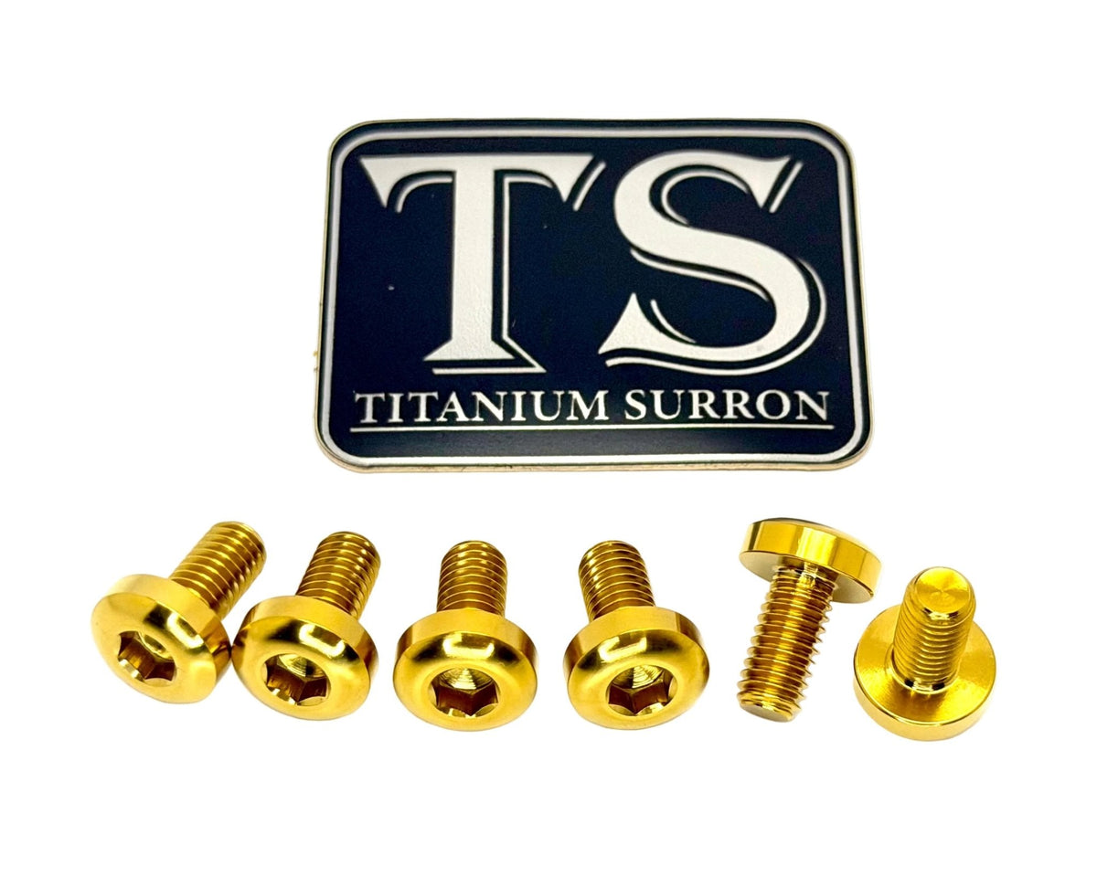 Titanium Front Rotor Screws - Surron, Talaria, Segway, 79 Bike, Rerode, E-Ride