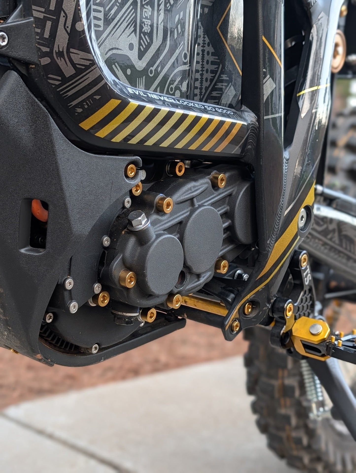 Titanium Full Body Bolt Kit | Talaria Komodo