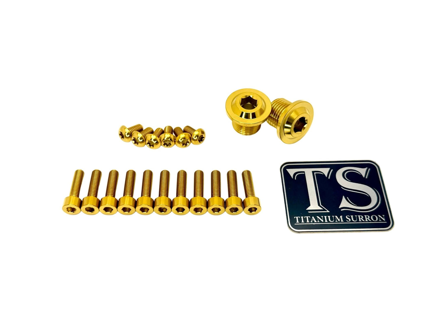DNM/ KKE Fork Titanium Bolt Kits Surron, Talaria
