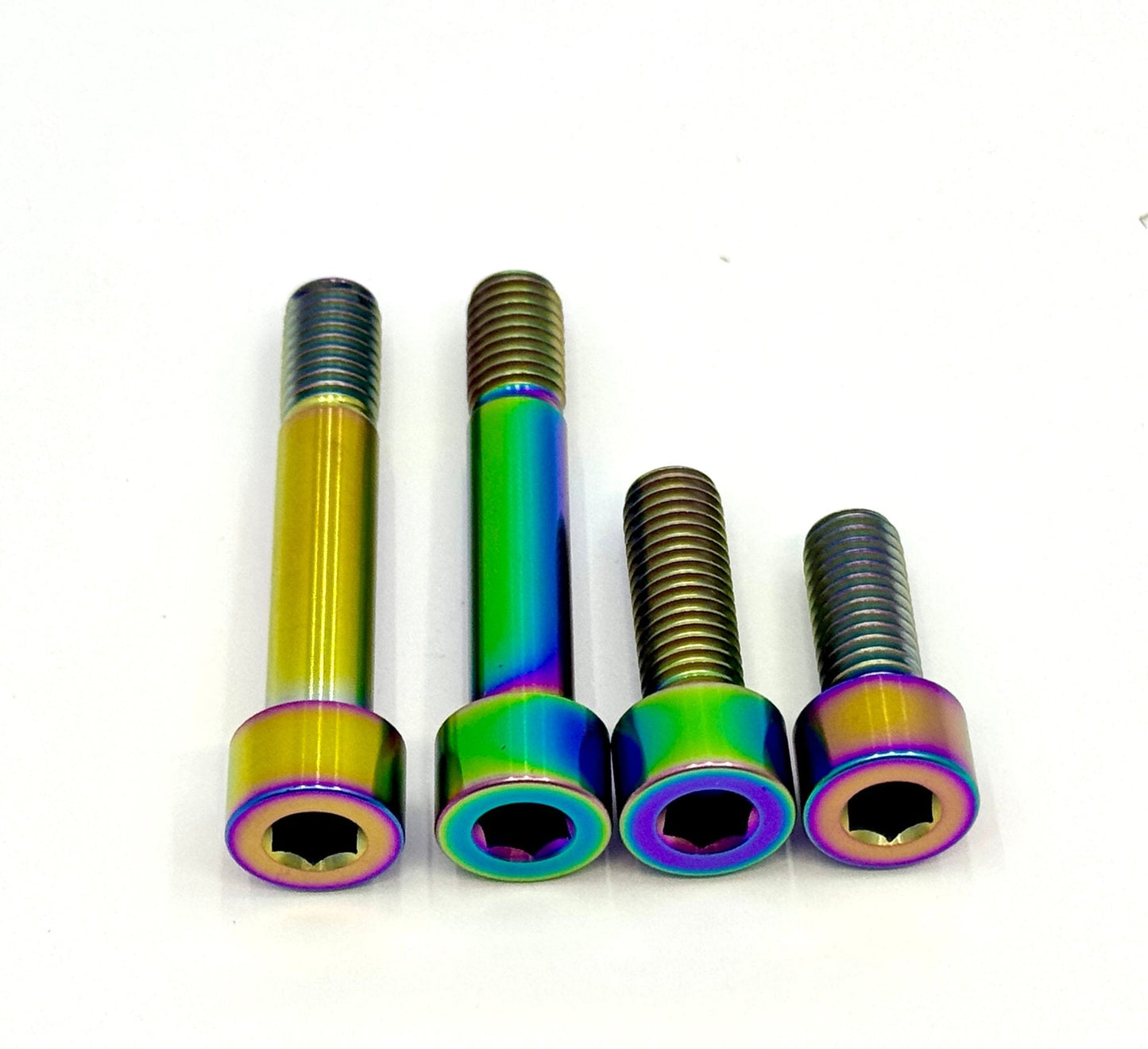 Titanium Motor Bolts - E-Ride Pro ERP SS and S