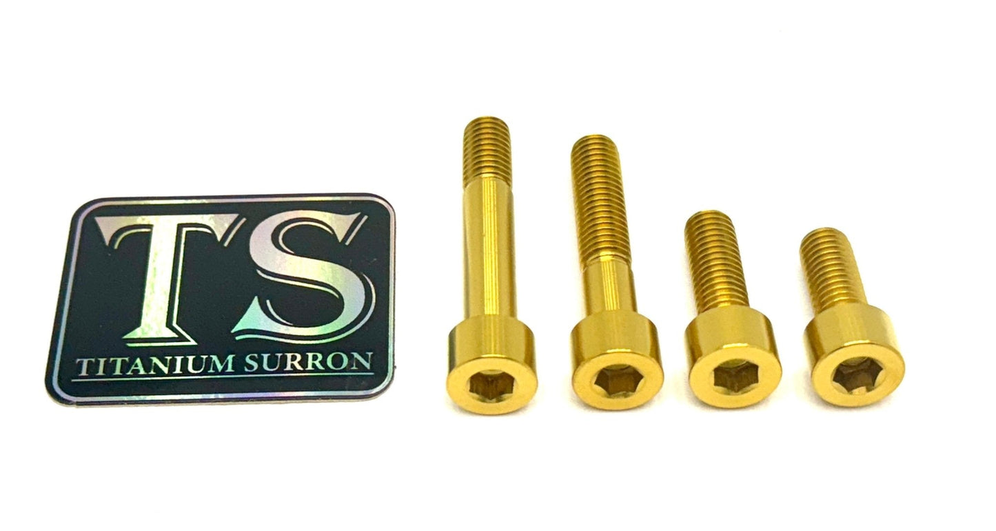 Titanium Motor Bolts - E-Ride Pro ERP SS and S