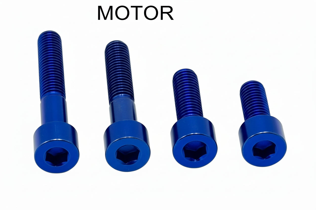 Titanium Motor Bolts - E-Ride Pro ERP SS and S