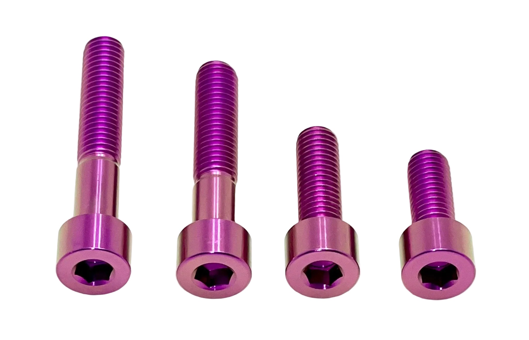 Titanium Motor Bolts - Surron LBS LBX, Segway X160 X260 – REVRides