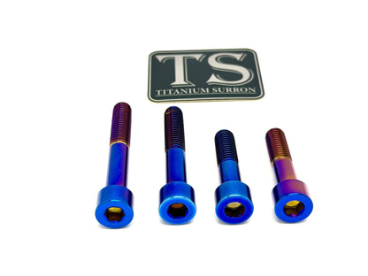 Titanium Motor Mount Bolt Kit | Surron Ultra Bee