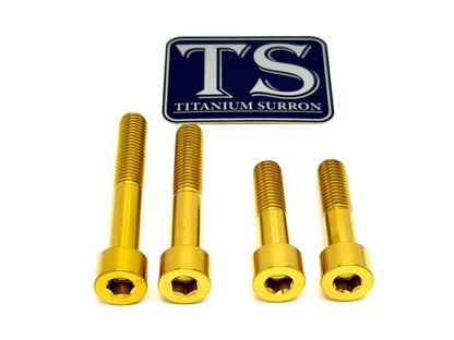 Titanium Motor Mount Bolt Kit | Surron Ultra Bee