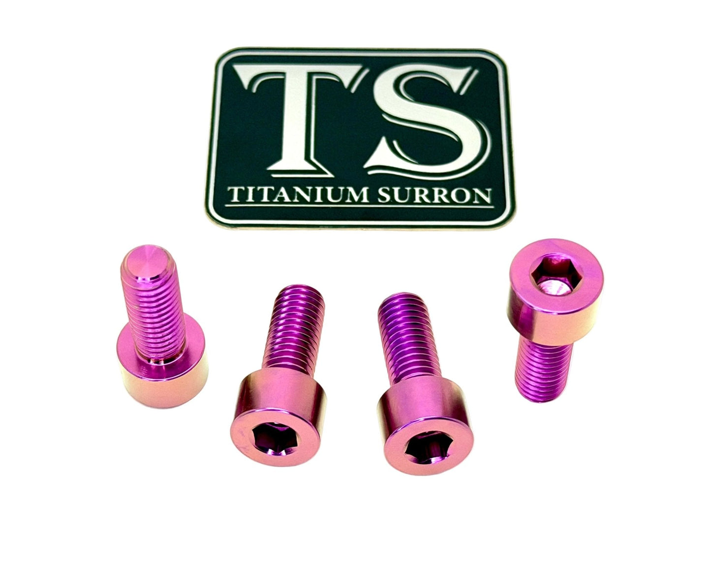 Titanium Peg Bracket Bolts - Surron LBX and Segway (Set of 4)