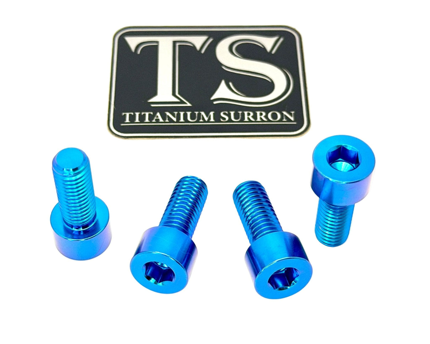 Titanium Peg Bracket Bolts - Surron LBX and Segway (Set of 4)