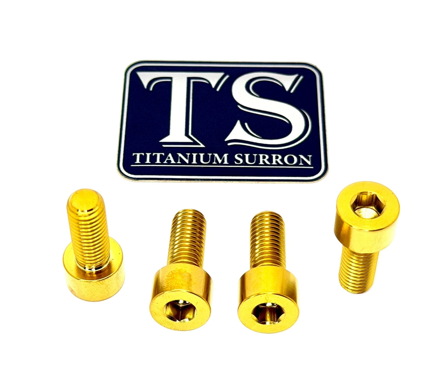 Titanium Peg Bracket Bolts - Surron LBX and Segway (Set of 4)