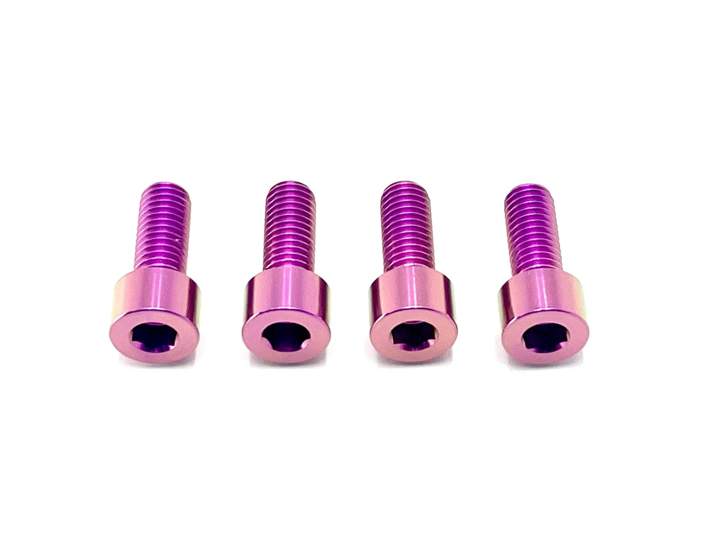 Titanium Peg Bracket Bolts - Surron LBX and Segway (Set of 4)