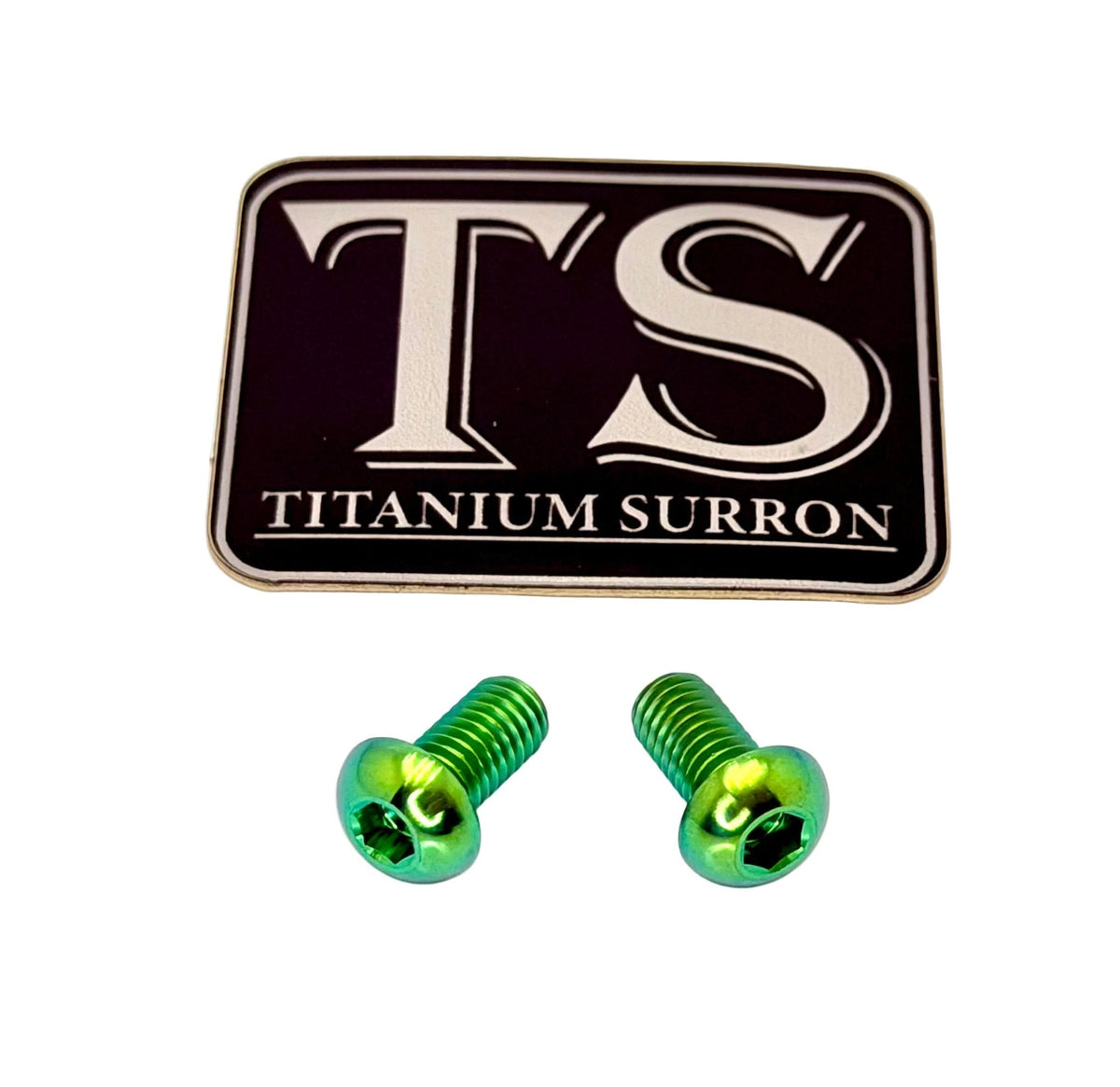 Titanium Ignition Cover Bolts (Set of Two) Surron, Segway, 79 Bike
