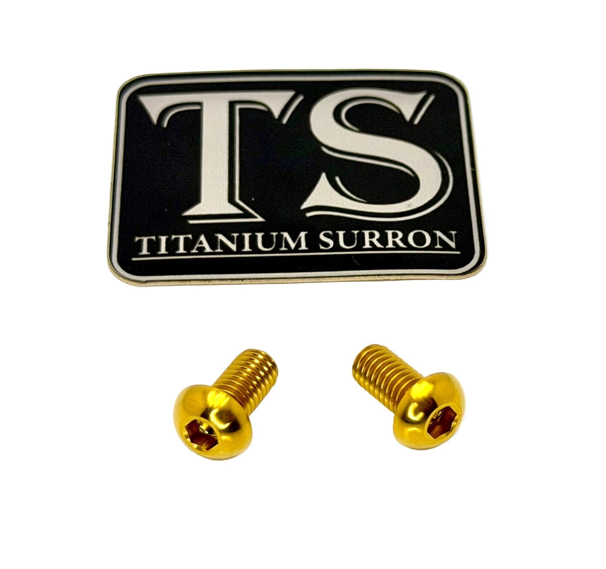 Titanium Ignition Cover Bolts (Set of Two) Surron, Segway, 79 Bike