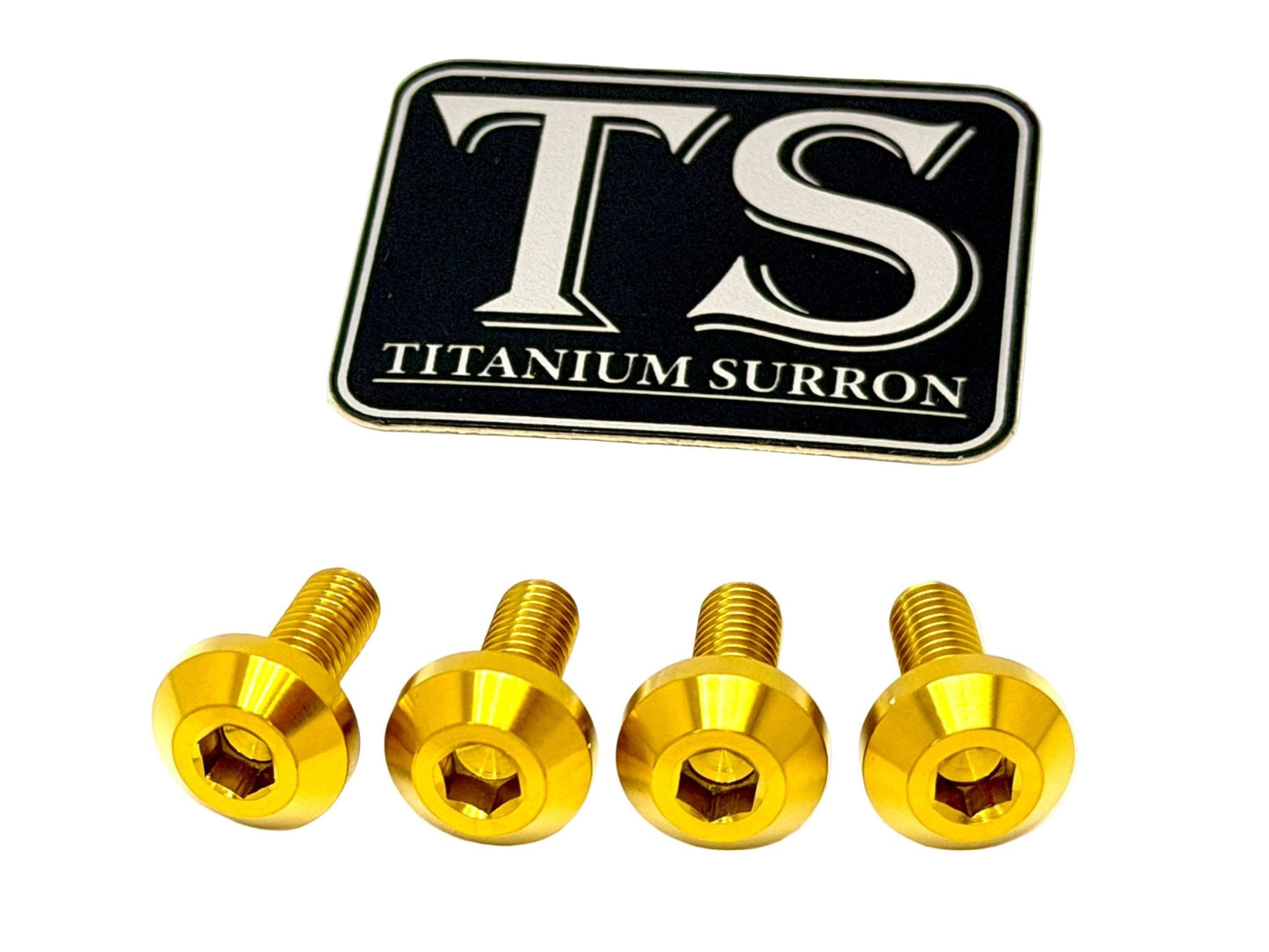 Titanium Surron Brake Hand Guard Bolts | Ultra Bee