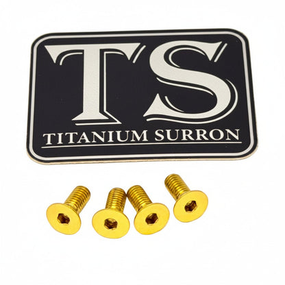 Titanium Brake Reservoir Bolts | Surron Ultra Bee