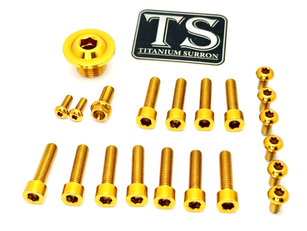 Titanium OEM Fork Bolt Kit | Surron Ultra Bee