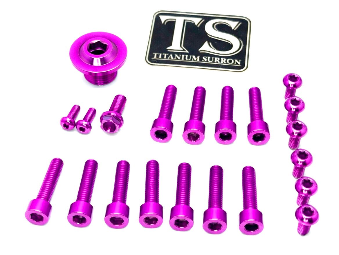 Titanium OEM Fork Bolt Kit | Surron Ultra Bee