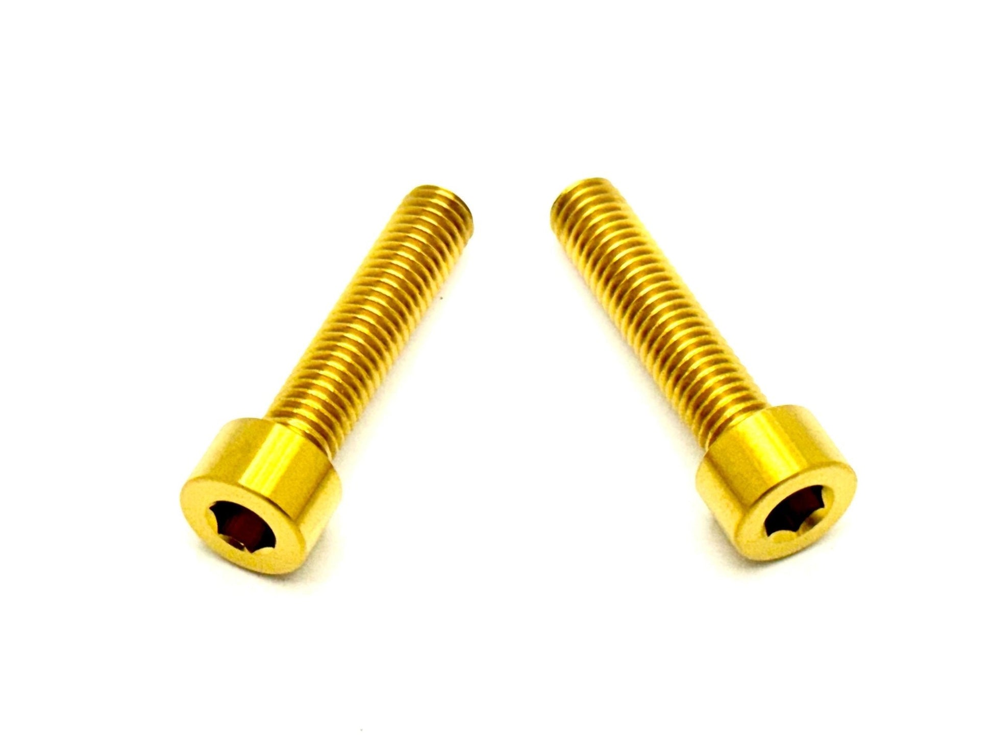 Titanium Triangle OEM Style Bolts - Surron & Segway (2) - REVRides