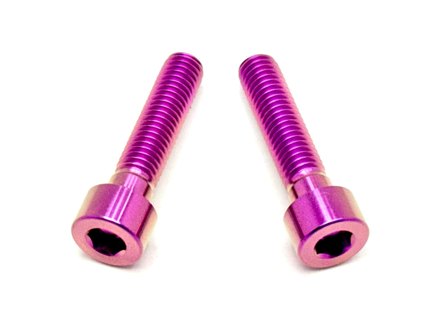 Titanium Triangle OEM Style Bolts - Surron & Segway (2) - REVRides