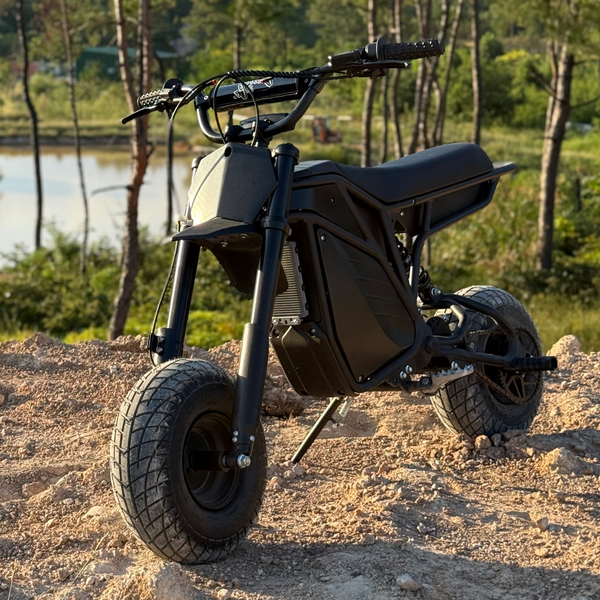 *NEW* The Rizzler | Stunt-Ready Mini Bike Hybrid | by Electro & Company