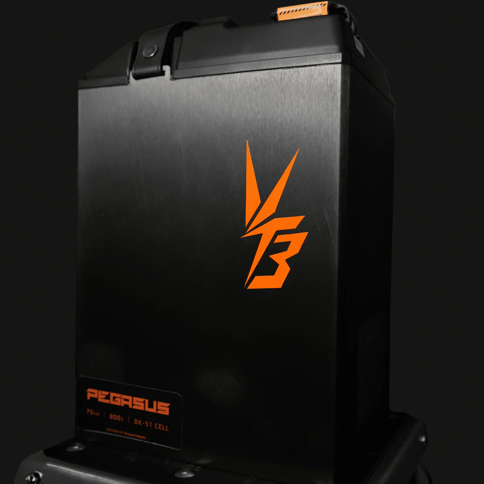 Ventus Ultra bee Pegasus Battery | for Surron Ultra Bee | By Ventus Bikes VTB