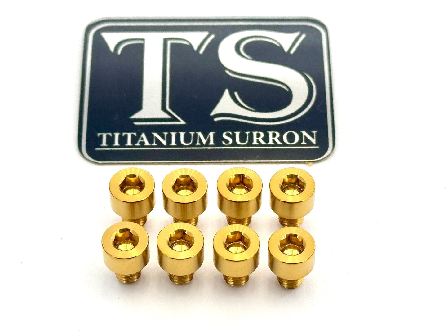 Titanium Heat Sink Bolt Kit | Ventus V9600 Controller (8 pcs)